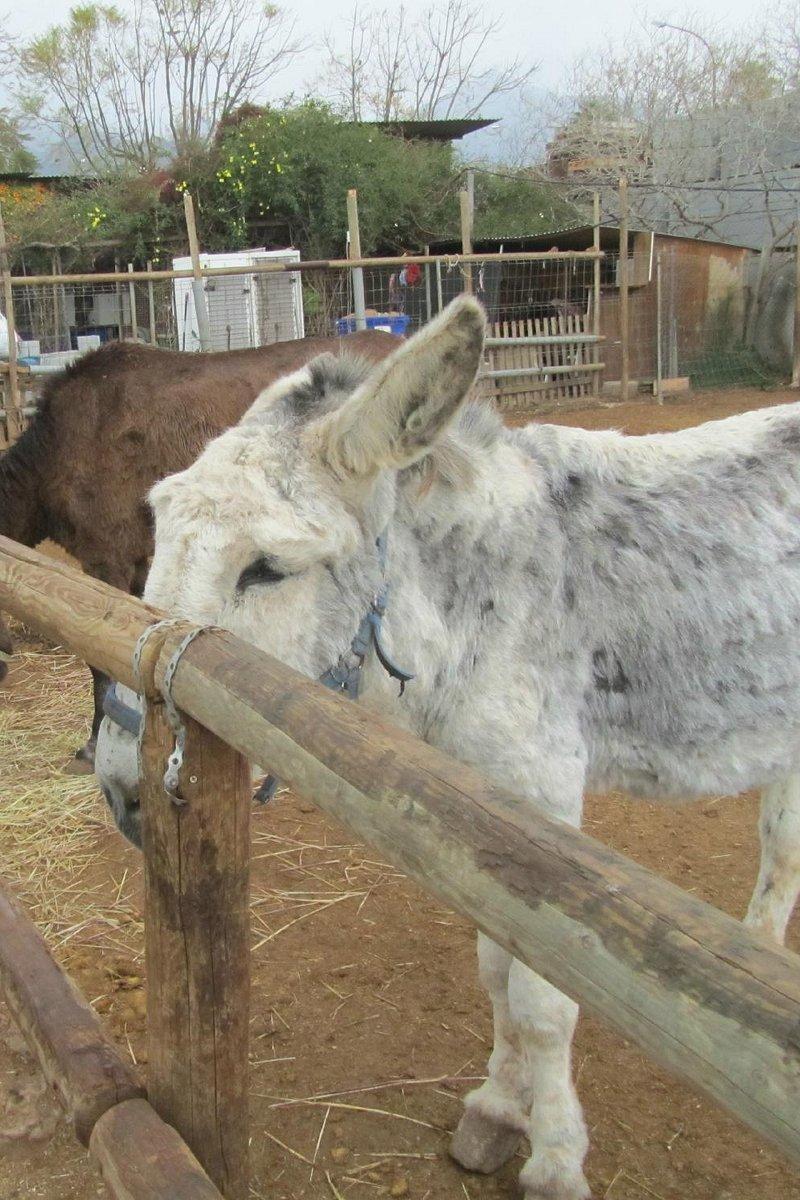 Santuario de Burros de Nerja